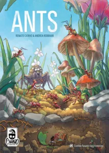 Ants (EN)