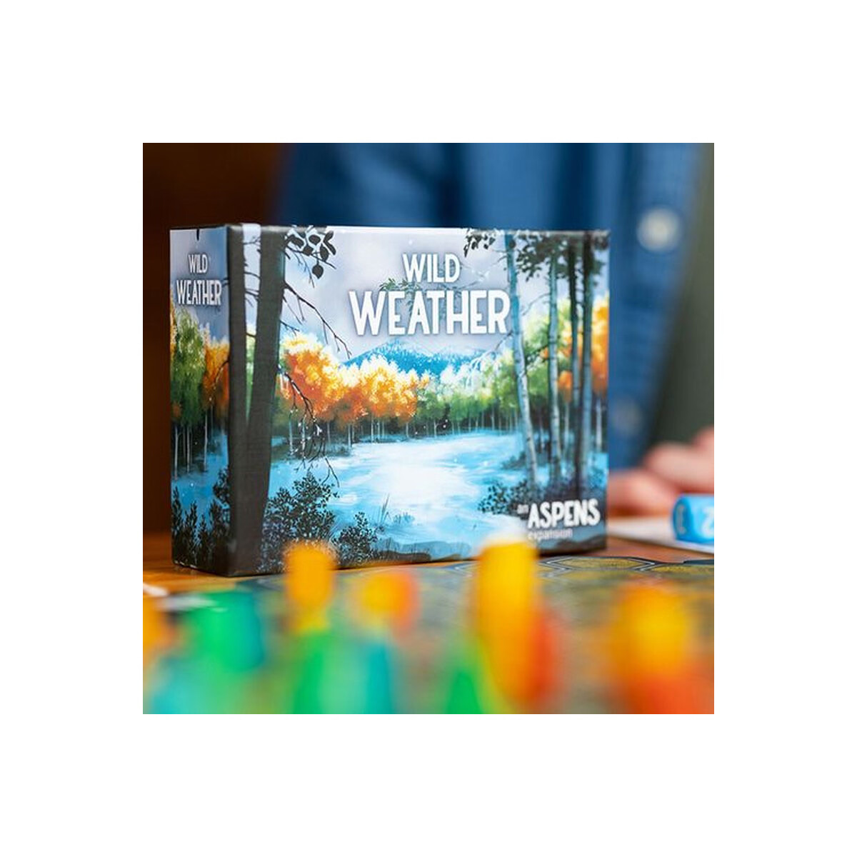 Wild Weather - Aspens